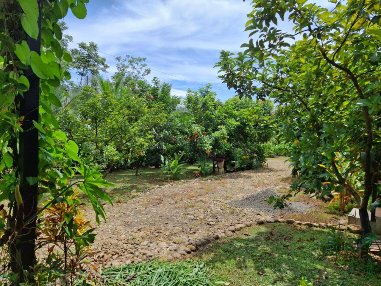 Bungalow Batsu La Fortuna Exteriör bild